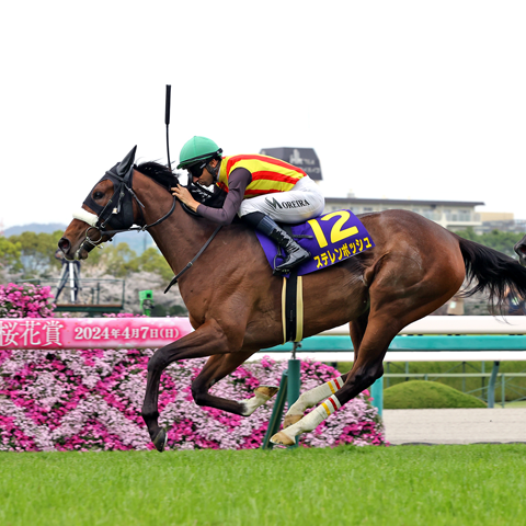 4/13(日)第85回 桜花賞【GⅠ】@阪神競馬場