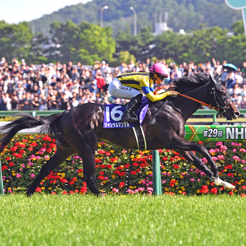 5/11(日)第30回 NHKマイルカップ【GⅠ】@東京競馬場