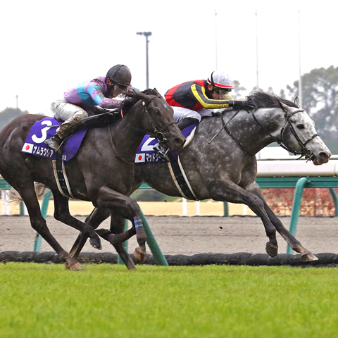 3/30(日)第55回 高松宮記念【GⅠ】@中京競馬場