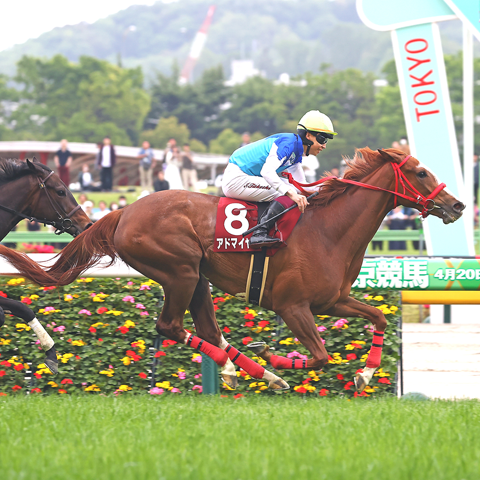 4/27(日)第60回 サンケイスポーツ賞 フローラステークス【GⅡ】(オークストライアル)@東京競馬場
