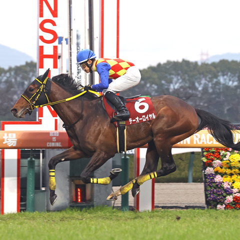 3/23(日)第73回 阪神大賞典【GⅡ】@阪神競馬場