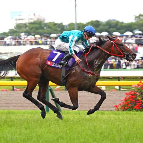 6/8(日)第75回 農林水産省賞典 安田記念【GⅠ】@東京競馬場