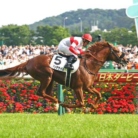 6/1(日)東京優駿【GⅠ】（第92回 日本ダービー）@東京競馬場