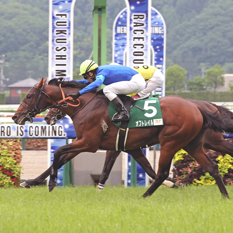 6/29(日)第74回 ラジオNIKKEI賞【GⅢ】@福島競馬場