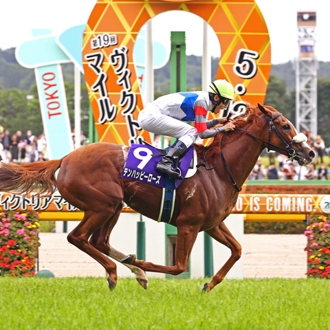 5/18(日)第20回 ヴィクトリアマイル【GⅠ】@東京競馬場