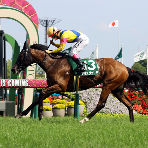 6/22(日)第73回 府中牝馬ステークス【GⅢ】@東京競馬場