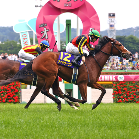 5/25(日)優駿牝馬【GⅠ】(第86回 オークス)@東京競馬場