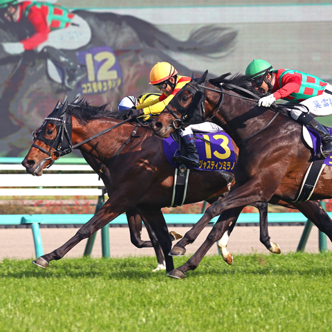 4/20(日)第85回 皐月賞【GⅠ】@中山競馬場