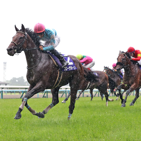 6/15(日)第66回 宝塚記念【GⅠ】@阪神競馬場