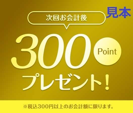 300Ptクーポン見本