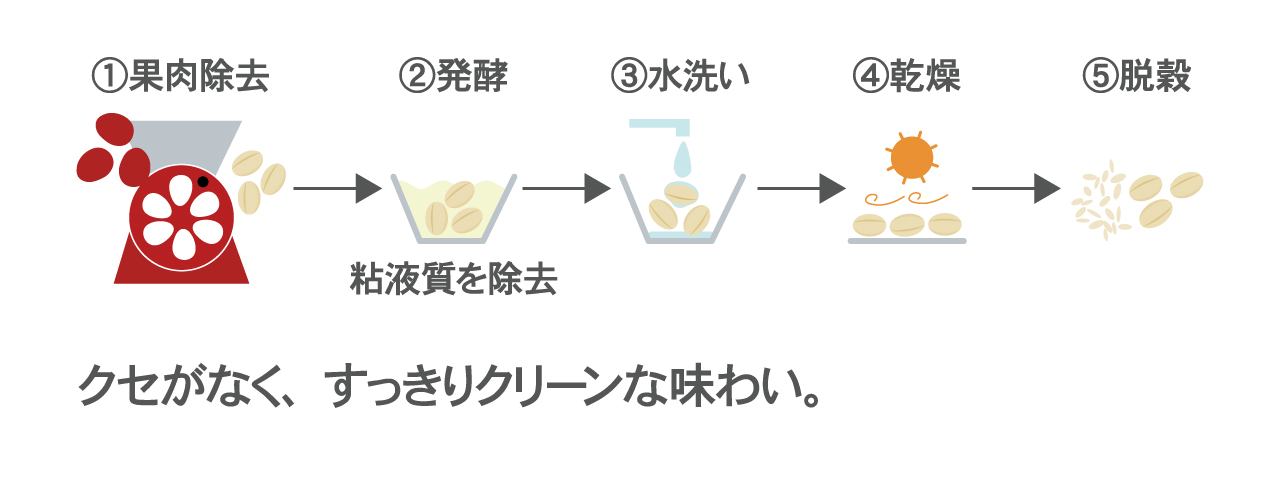 ウォッシュド