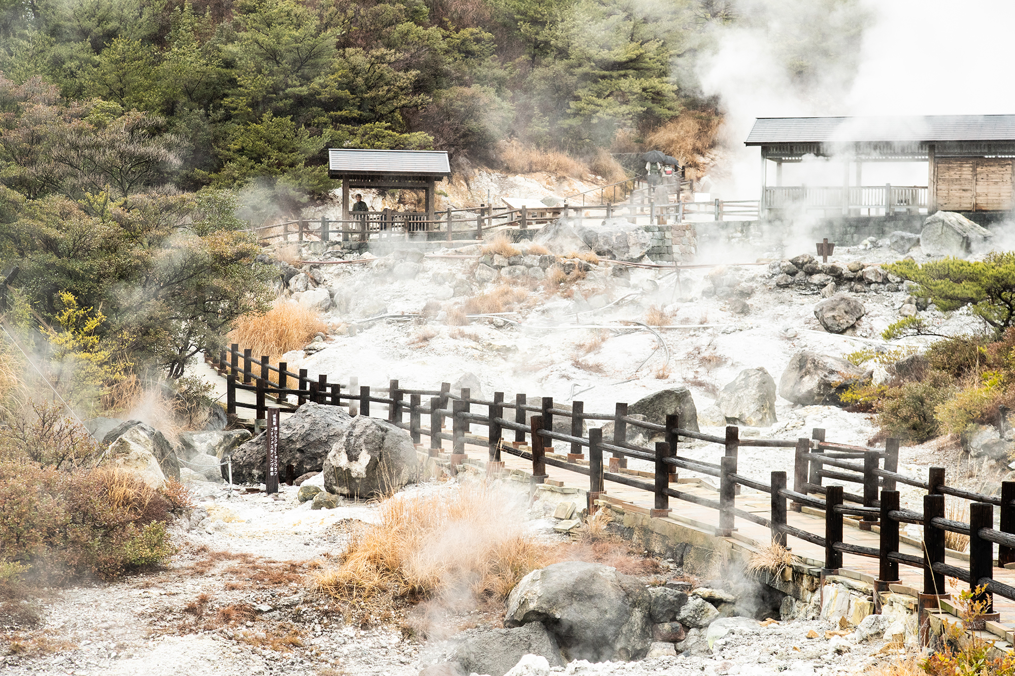 雲仙地獄の写真